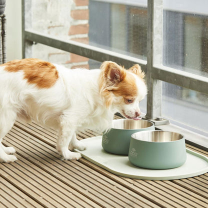 DOG COPENHAGEN - BOL VEGA VERDE MENTA PARA PERROS (Y GATOS)