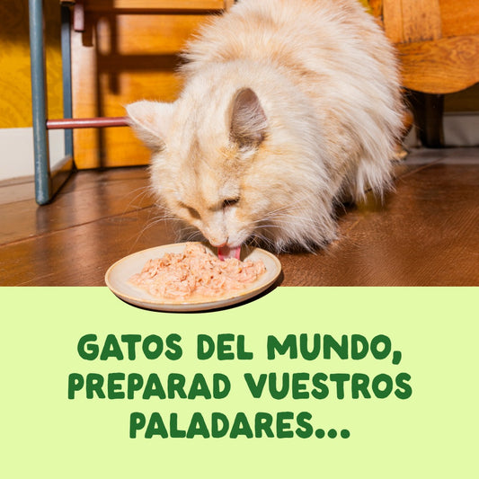 Latas comida húmeda de filetes para gatos de la marca Edgard & Cooper.