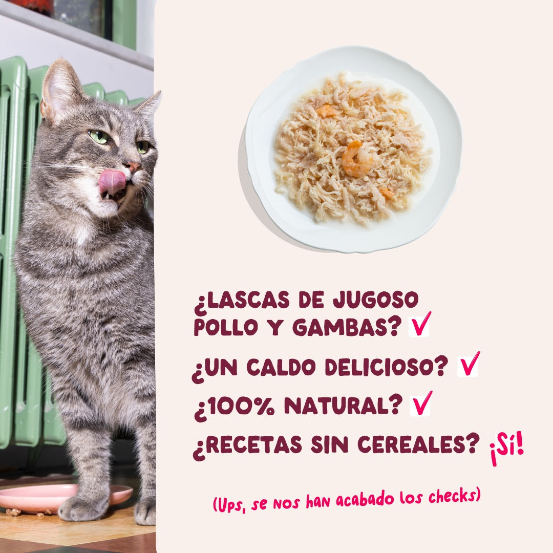 Comida húmeda complementaria sin cereales de filetes de pollo con gambas para gatos de la marca Edgard & Cooper.