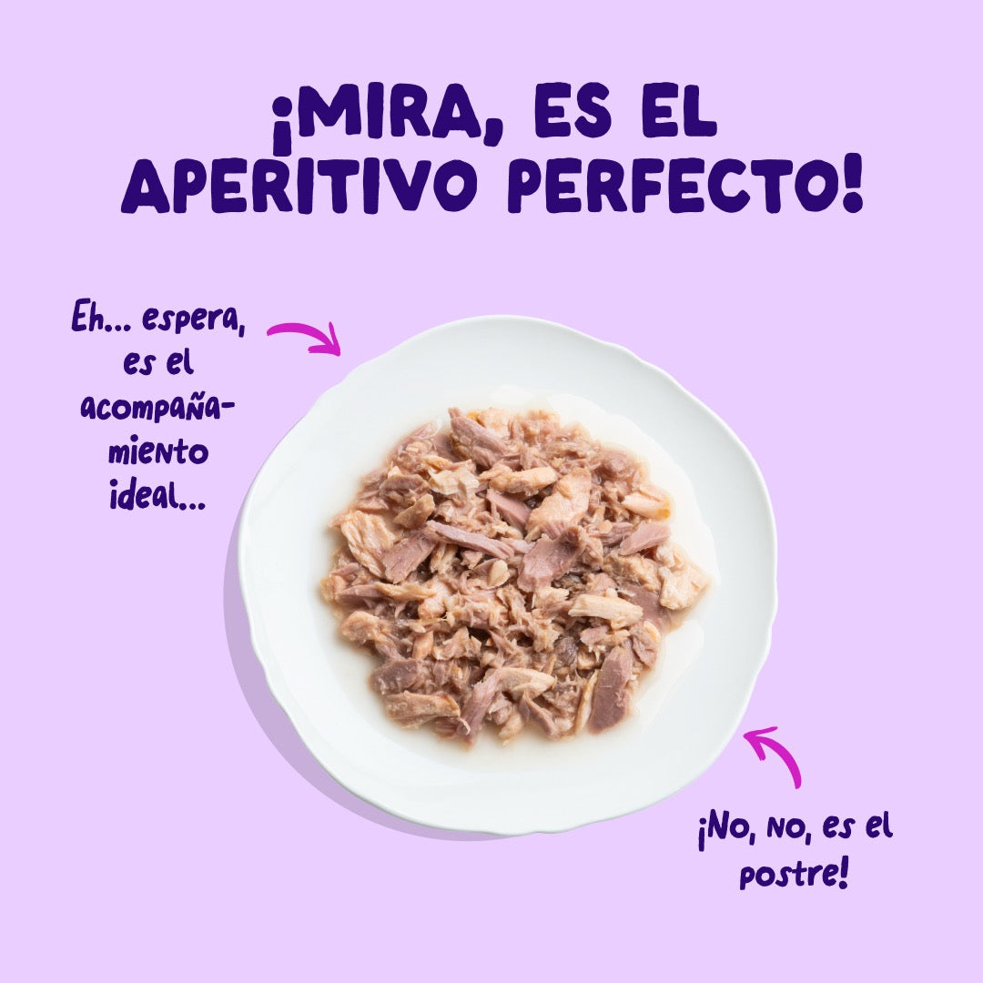 Comida húmeda complementaria sin cereales de filetes de salmon y atún para gatos de la marca Edgard & Cooper.