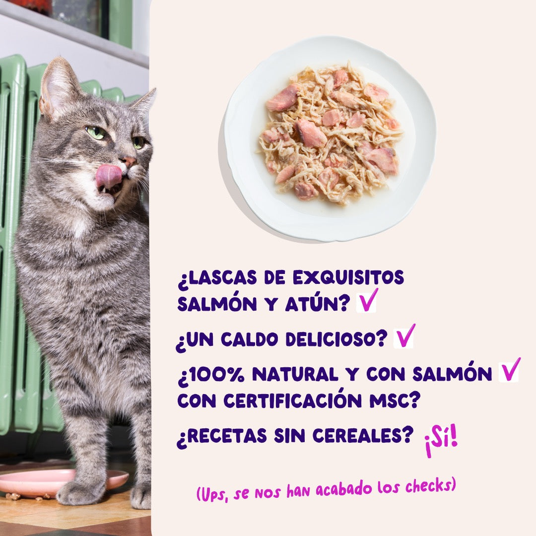 Comida húmeda complementaria sin cereales de filetes de salmon y atún para gatos de la marca Edgard & Cooper.