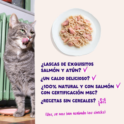 Comida húmeda complementaria sin cereales de filetes de salmon y atún para gatos de la marca Edgard & Cooper.