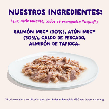 Comida húmeda complementaria sin cereales de filetes de salmon y atún para gatos de la marca Edgard & Cooper.