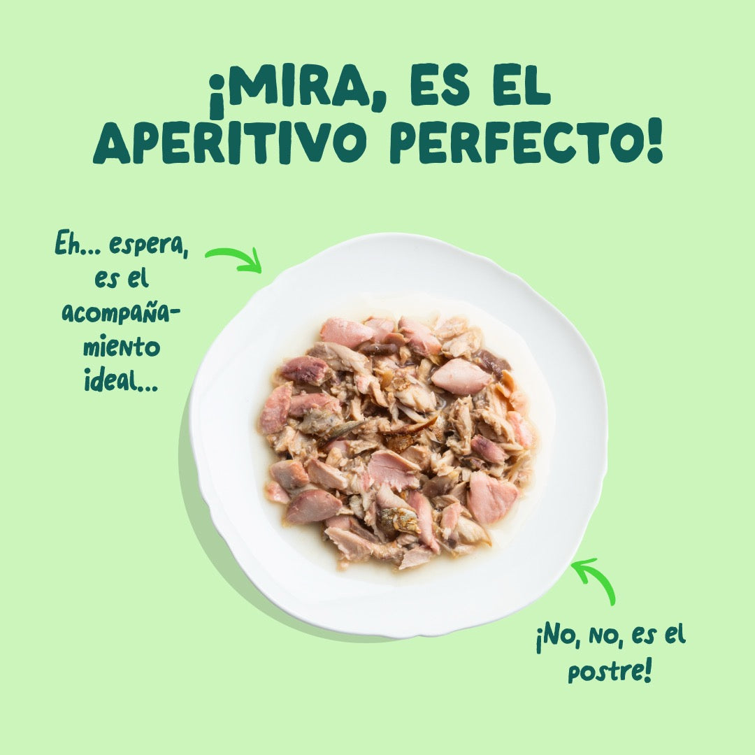 Comida húmeda complementaria sin cereales de filetes de salmón y caballa para gatos de la marca Edgard & Cooper.