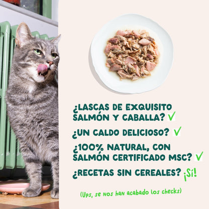 Comida húmeda complementaria sin cereales de filetes de salmón y caballa para gatos de la marca Edgard & Cooper.