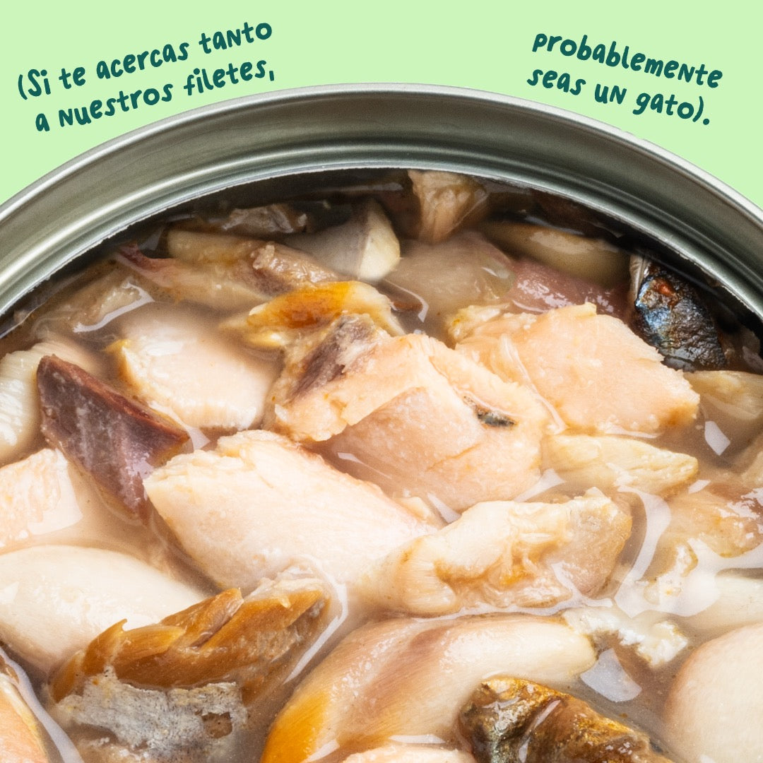 Comida húmeda complementaria sin cereales de filetes de salmón y caballa para gatos de la marca Edgard & Cooper.