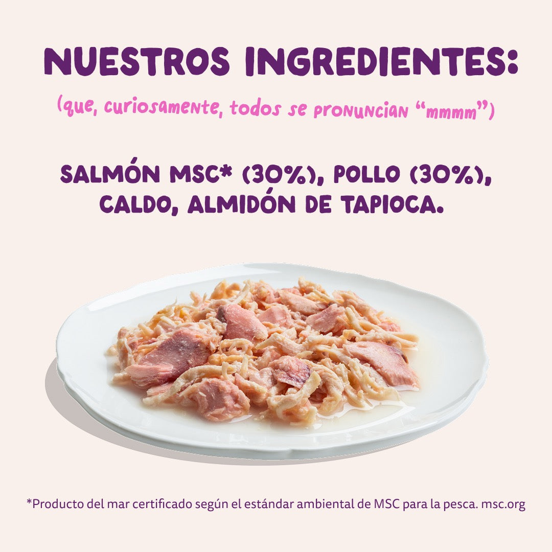 Comida húmeda complementaria sin cereales de filetes de salmon y pollo para gatos de la marca Edgard & Cooper.