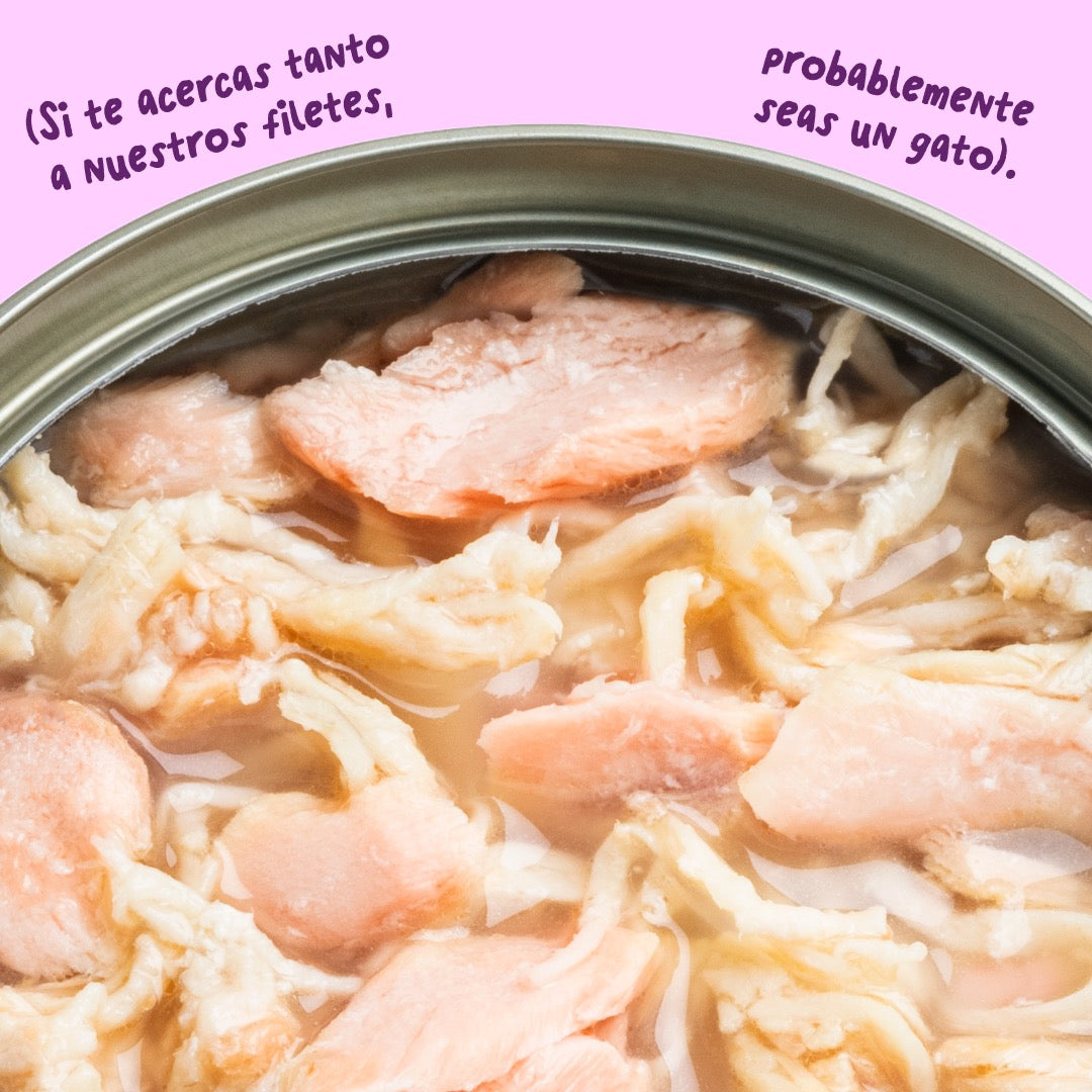 Comida húmeda complementaria sin cereales de filetes de salmon y pollo para gatos de la marca Edgard & Cooper.