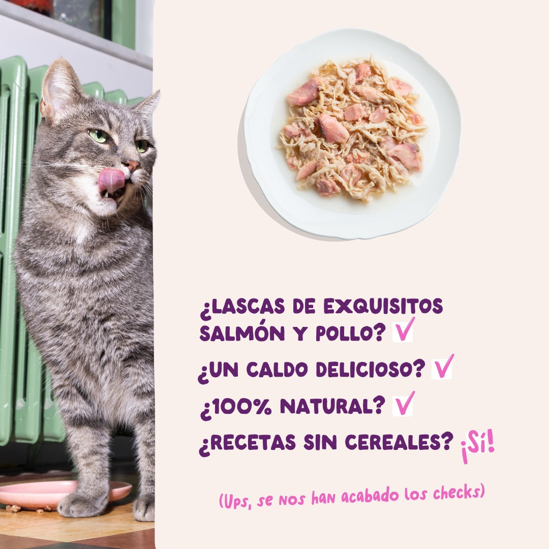 Comida húmeda complementaria sin cereales de filetes de salmon y pollo para gatos de la marca Edgard & Cooper.