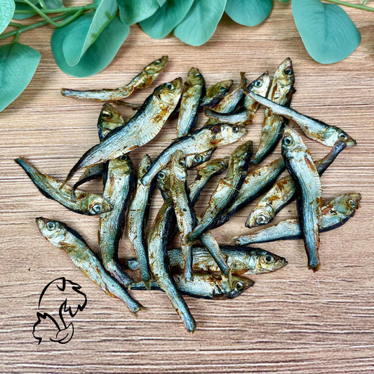 ESPADINES PARA PERROS Y GATOS