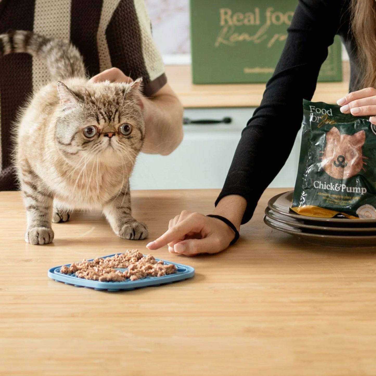 Food for Joe, receta Chick&Pump comida natural cocinada de pollo para gatos de todas las edades 