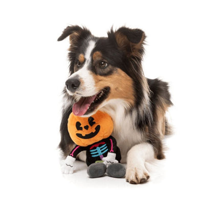 Juguete con cabeza calabaza para perros de la marca Fuzz Yard colección Halloween