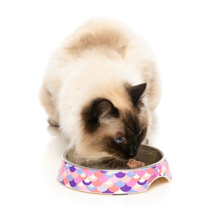 FUZZYARD - COMEDERO ATLANTIC PARA GATOS (Y PERROS)