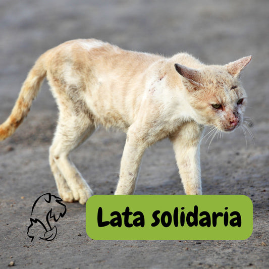 LATA SOLIDARIA PARA GATETES
