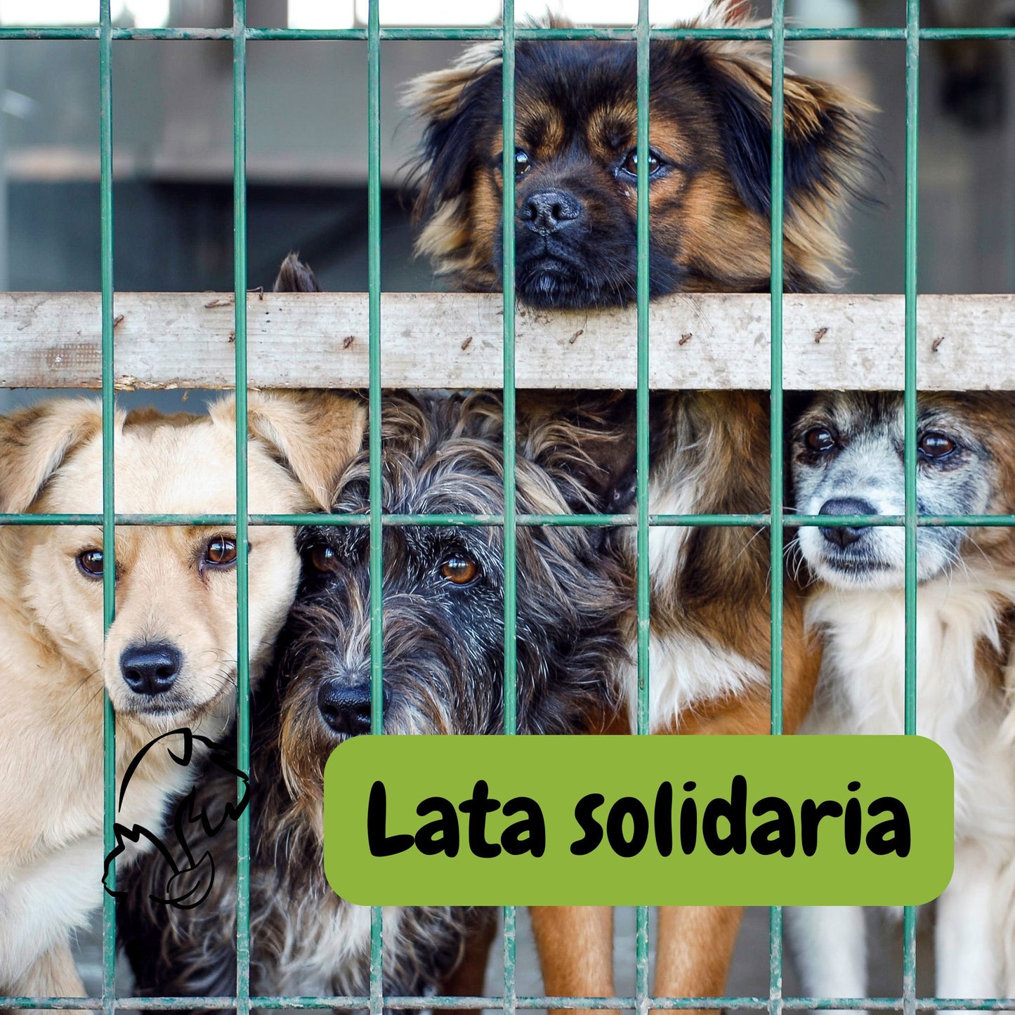 LATA SOLIDARIA PARA PERRETES