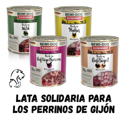 LATA SOLIDARIA PARA LOS PERRINOS DE GIJÓN