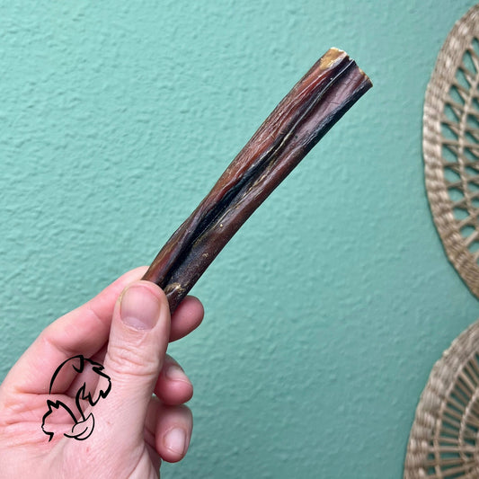 NERVIO DE VACUNO PARA PERROS