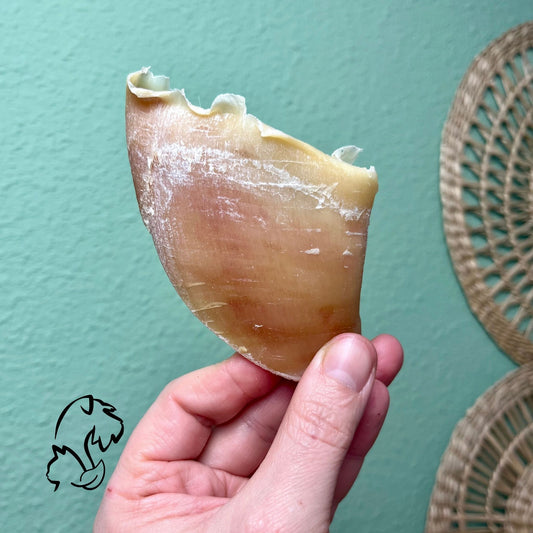 PEZUÑA DE VACUNO PARA PERRROS