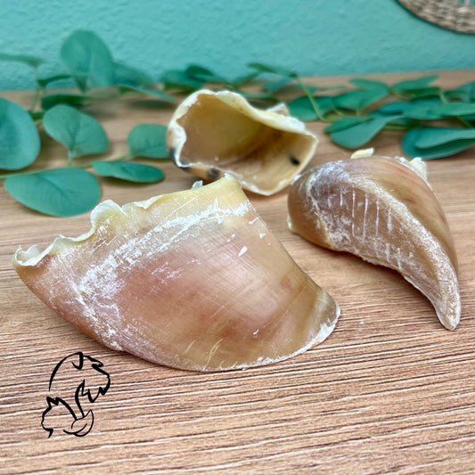 PEZUÑA DE VACUNO PARA PERRROS