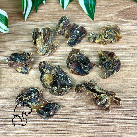 MOLLEJAS DE POLLO PARA PERROS