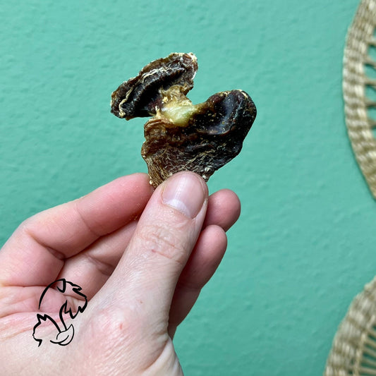 MOLLEJAS DE POLLO PARA PERROS