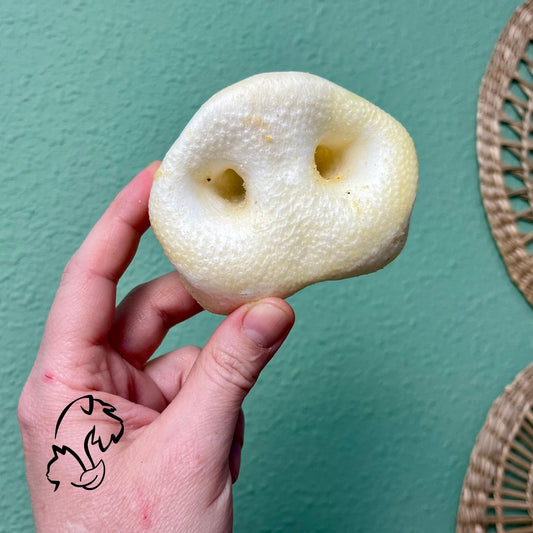 MORRO DE CERDO PUFFED PARA PERROS