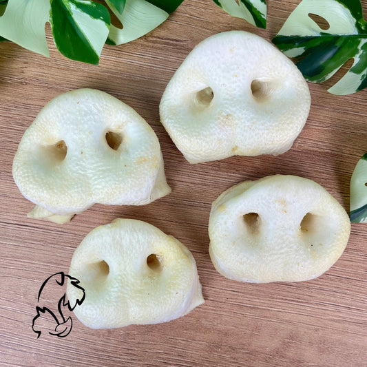 MORRO DE CERDO PUFFED PARA PERROS