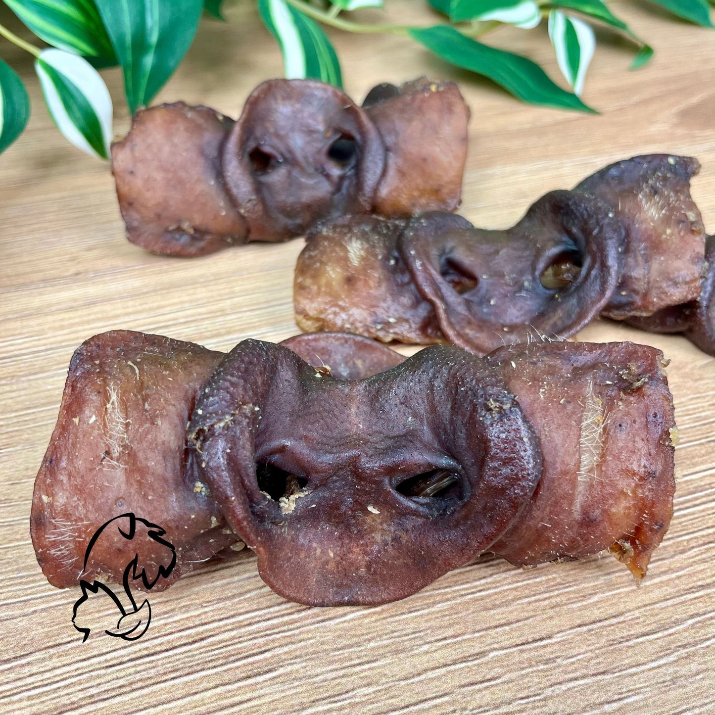 MORRO DE CERDO TOSTADO PARA PERROS