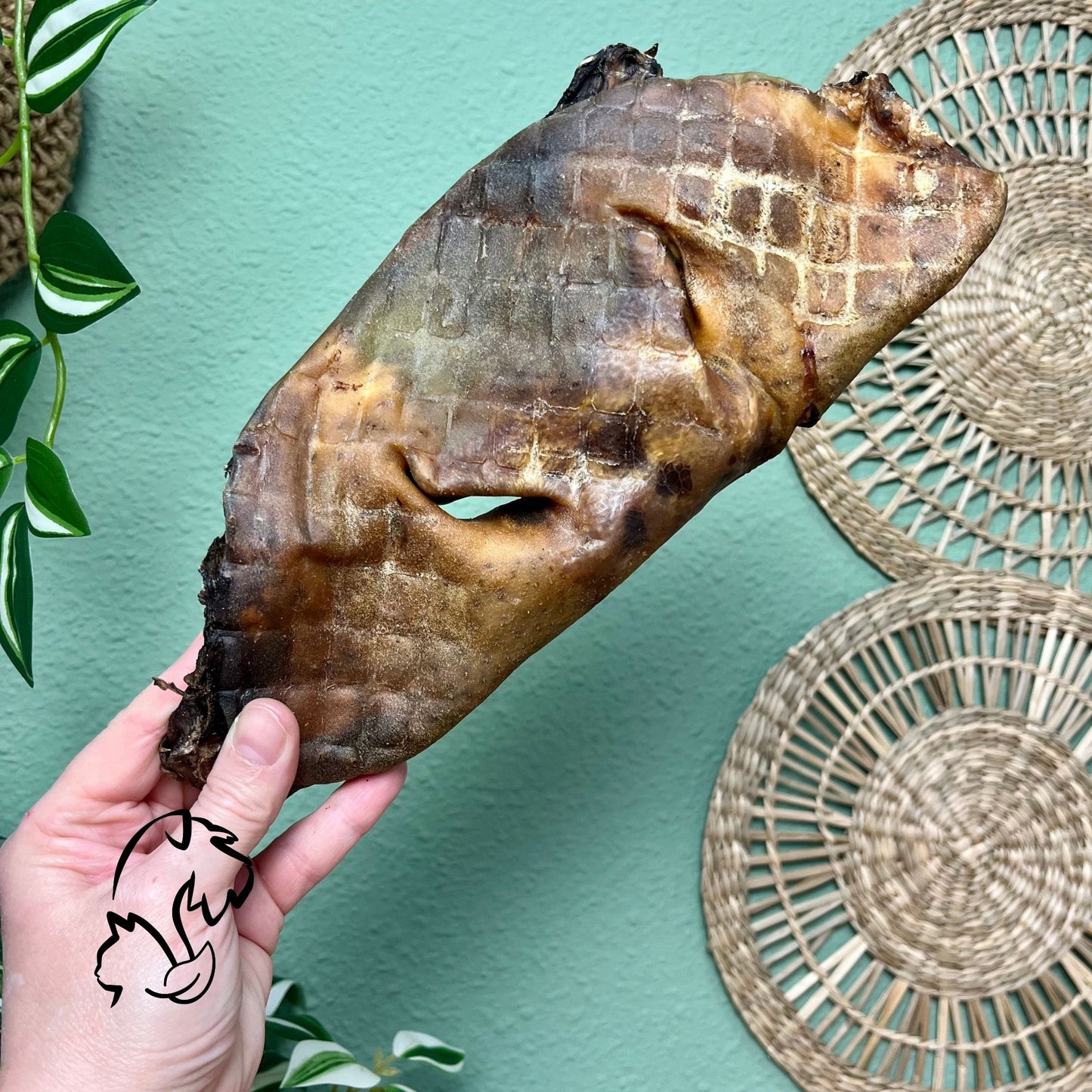 MORRO DE TERNERA PARA PERROS