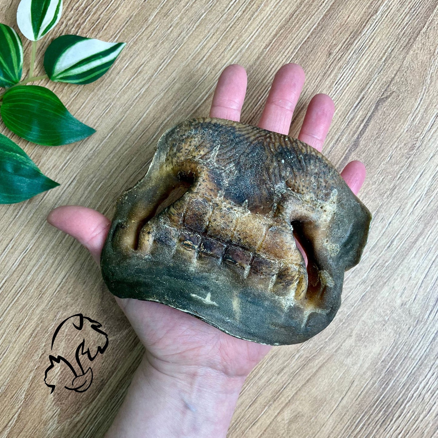 MORRO DE TERNERA PARA PERROS