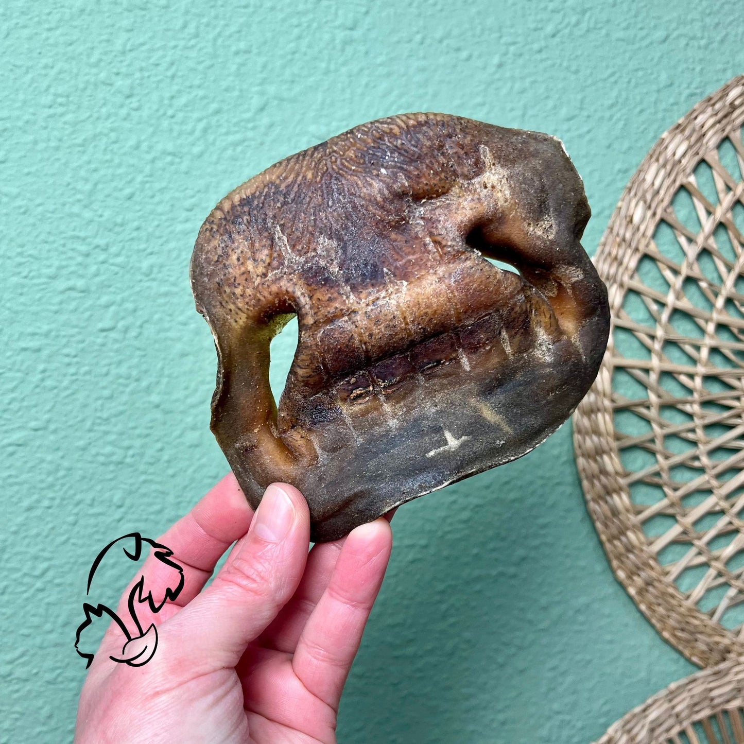 MORRO DE TERNERA PARA PERROS