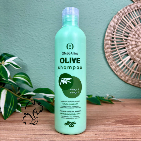 NOGGA - OLIVE SHAMPOO - CHAMPÚ PARA PERROS DE PELO MEDIO Y GATOS