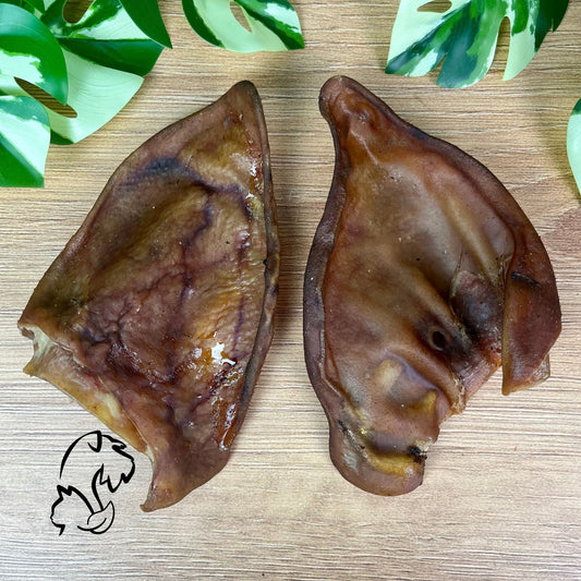 OREJA DE CERDO IBÉRICO PARA PERROS