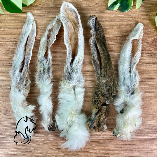 OREJAS DE CONEJO CON PELO PARA PERROS Y GATOS