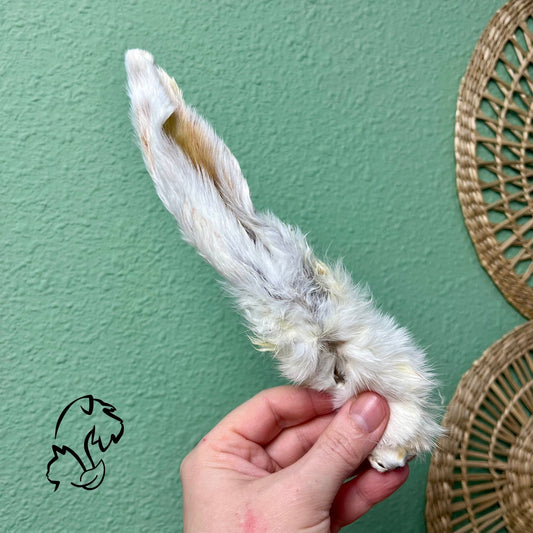 OREJAS DE CONEJO CON PELO PARA PERROS Y GATOS