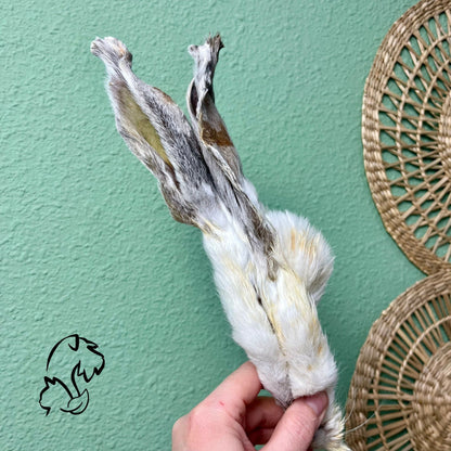 OREJA DE CONEJO CON PELO PARA PERROS Y GATOS