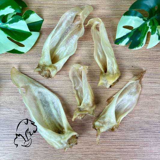 OREJAS DE CORDERO PARA PERROS