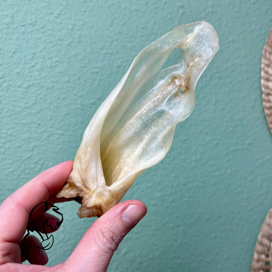 OREJAS DE CORDERO PARA PERROS