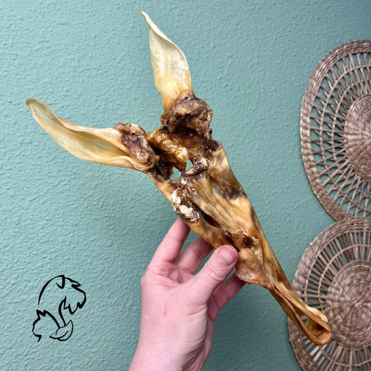 OREJAS DE CORDERO CON PIEL PARA PERROS