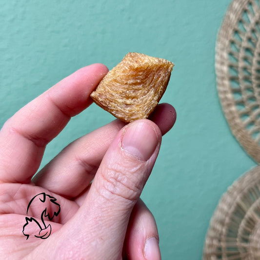 PALOMITAS DE POLLO PARA PERROS Y GATOS