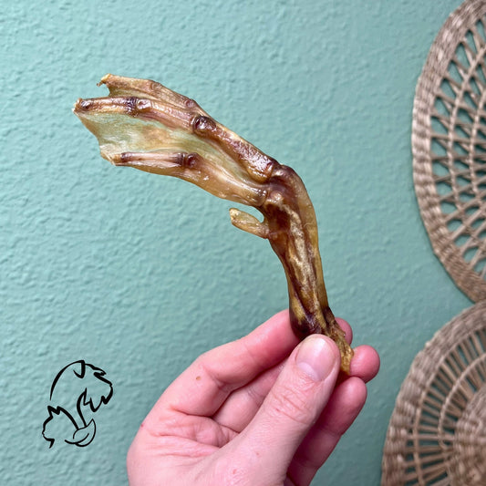 PATA DE PATO PARA PERROS Y GATOS