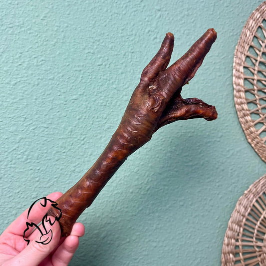 PATA DE PAVO PARA PERROS