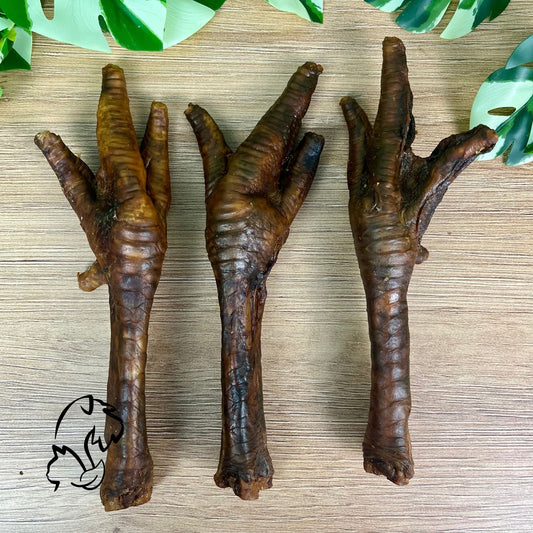 PATA DE PAVO PARA PERROS