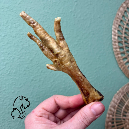 PATAS DE POLLO PARA PERROS Y GATOS