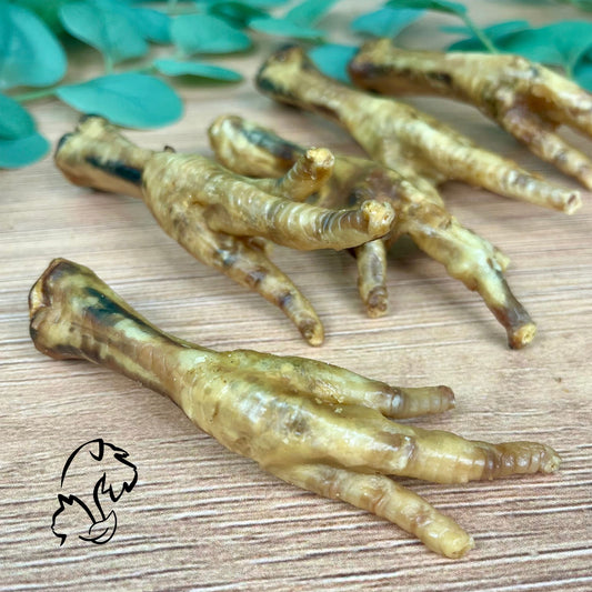 PATAS DE POLLO PARA PERROS Y GATOS