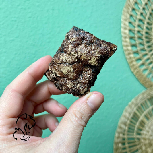 PULMÓN DE VACUNO PARA PERROS