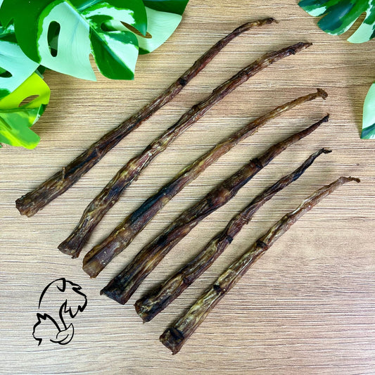 RABO DE VACUNO PARA PERROS