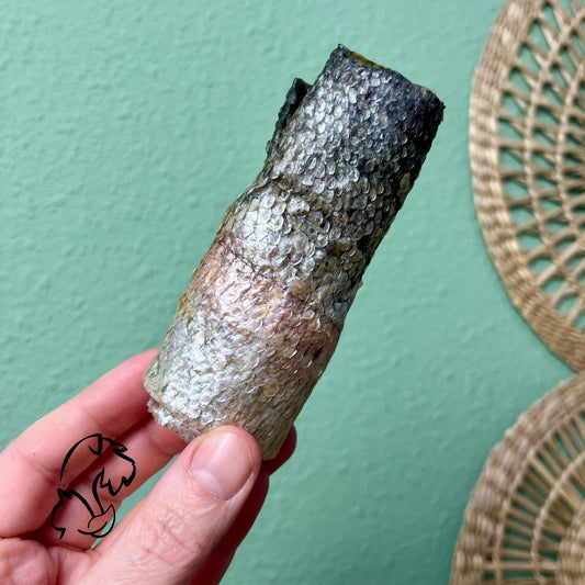 ROLLITO DE SALMÓN PARA PERROS