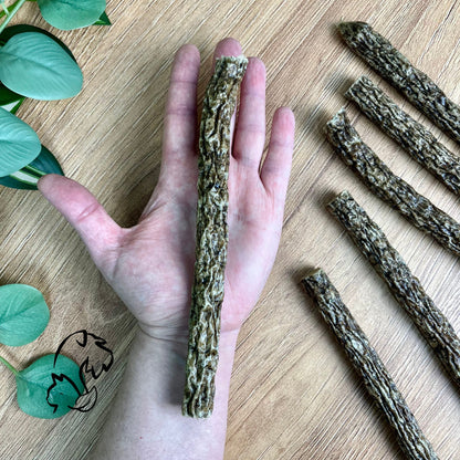 PALITO CRUJIENTE DE VACUNO PARA PERROS