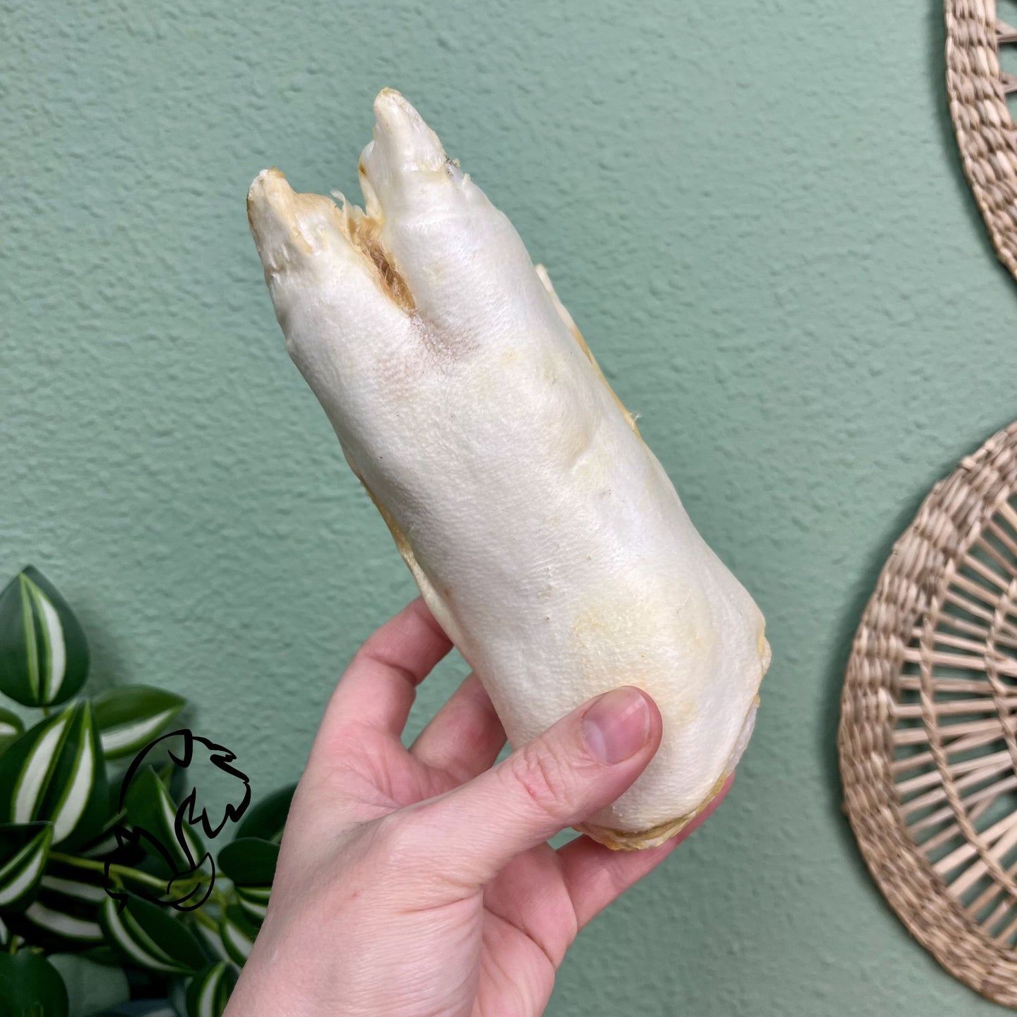 PATA DE CERDO PUFFED PARA PERROS